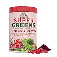 Super Greens Berry Flavor, 50 Organic Super Foods, USDA Organic Drink Mix, Fruits, Vegetables, Super Greens, Mushrooms & Probiotics, Supports Energy, 20 Servings, 10.6 Oz