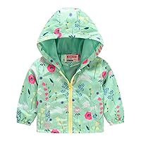 Boys Water Jacket Toddler Boys Girls Casual Jackets Printing Cartoon Hooded Outerwear Zipper Infant (Green, 4-5 Years)