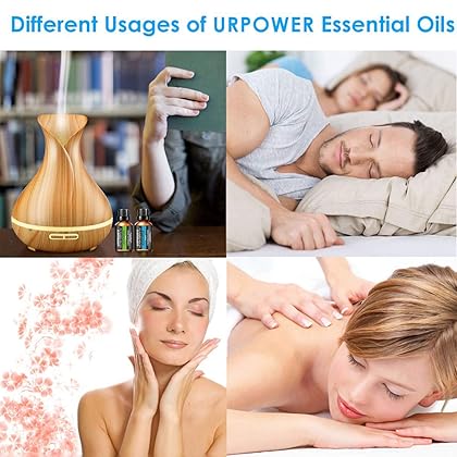 URPOWER Essential Oils, Upgraded 6 Aromatherapy Essential Oil Diffuser Essential Oils 100% Pure Lavender, Peppermint, Sweet Orange, Eucalyptus, Tea Tree, Lemongrass Essential Oil Gift Set 10ml/each