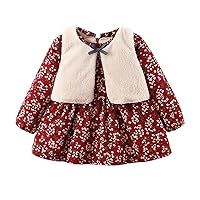 Toddler Baby Kids Girls Fall Winter Dress Outfits Two Pieces Set Thicken Warm Bowknot Jacket Vest + Floral Print Fleece A-Line Pleated Dress Zip Up Casual Outfit(Red 2T)