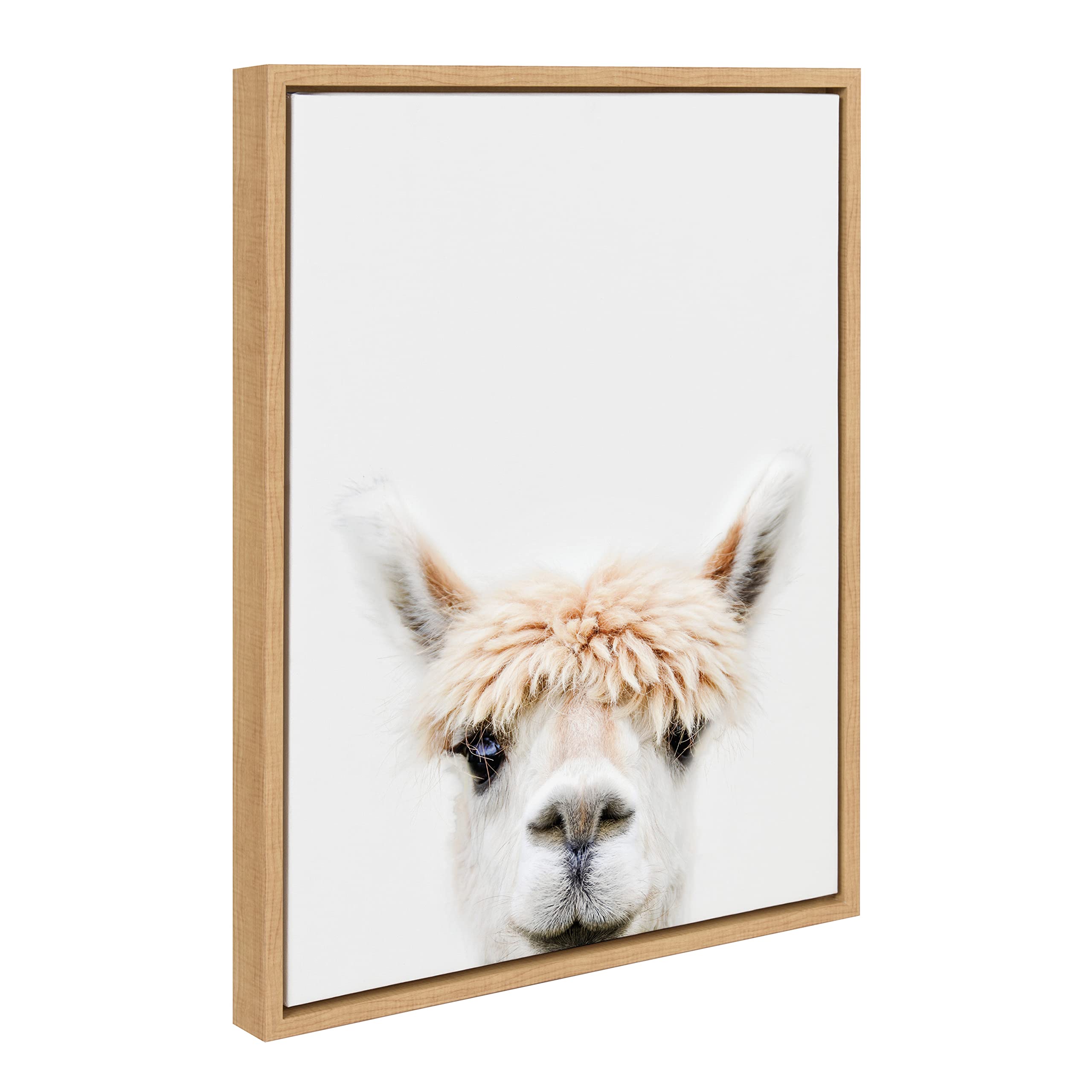 Kate and Laurel Sylvie Alpaca Bangs Framed Canvas Wall Art by Amy Peterson Art Studio, 18x24 Natural, Decorative Adorable Animal Art for Wall
