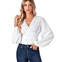 LYANER Women's V Neck Wrap Bishop Long Sleeve Shirred Hem Back Tee Shirt Blouse Top