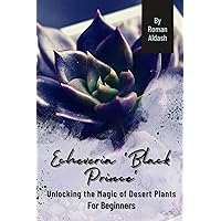 Echeveria 'Black Prince': Unlocking the Magic of Desert Plants, For Beginners