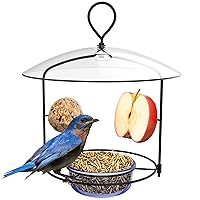 Nature's Way BBFM1 Bluebird Buffet Metal Bird Feeder with Protective Baffle, Outdoor Wild Bird Feeder and Décor, One Glass Dish with 3/4 Cup capacity, Blue