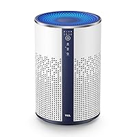 Air Purifier for Home Room Bedroom True H13 HEPA Air Filter Remove 99.97% Smoke Odor Pet Dander Dust Pollen Mold Air Cleaner Metal Design with Night Light
