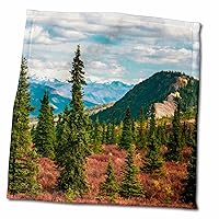 3dRose Alaska, Denali National Park. Fall Landscape with Pines and Peaks. - Towels (twl-380699-3)