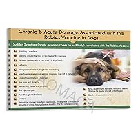 Chronic & Acute Damage Associated with The Rabies Vaccine in Dogs Posters Pet Hospital Poster Canvas Painting Posters And Prints Wall Art Pictures for Living Room Bedroom Decor 24x36inch(60x90cm) Fra