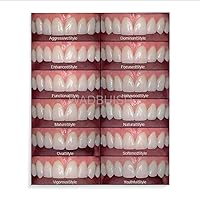 WADBUISD Teeth Whitening Collage Poster Smile Teeth Collage Whitening Dental Spa Aesthetic Poster (2) Canvas Poster Bedroom Decor Office Room Decor Gift Frame-style 16x20inch(40x50cm)