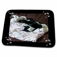 3dRose Cute Sleepy Black White Tux Cat on Couch Photo - Dish Drying Mats (ddm-242429-1)
