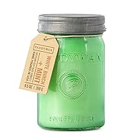 Paddywax Candles Relish Collection Soy Wax Blend Candle in Mason Jar Candle, Medium- 9.5 Ounce, White Birch + Mint