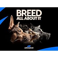 Breed All About It - Season 1