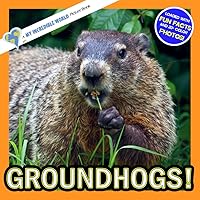 Groundhogs!: A My Incredible World Picture Book for Children (My Incredible World: Nature and Animal Picture Books for Children) Groundhogs!: A My Incredible World Picture Book for Children (My Incredible World: Nature and Animal Picture Books for Children) Paperback Kindle