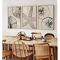 3 Pieces Poster Prints Wall Art Abstract Beach Sea Shell Sand Dollar Canvas Painting Framed Artwork for Living Room Beach House Coastal Decoration with Inner Frame