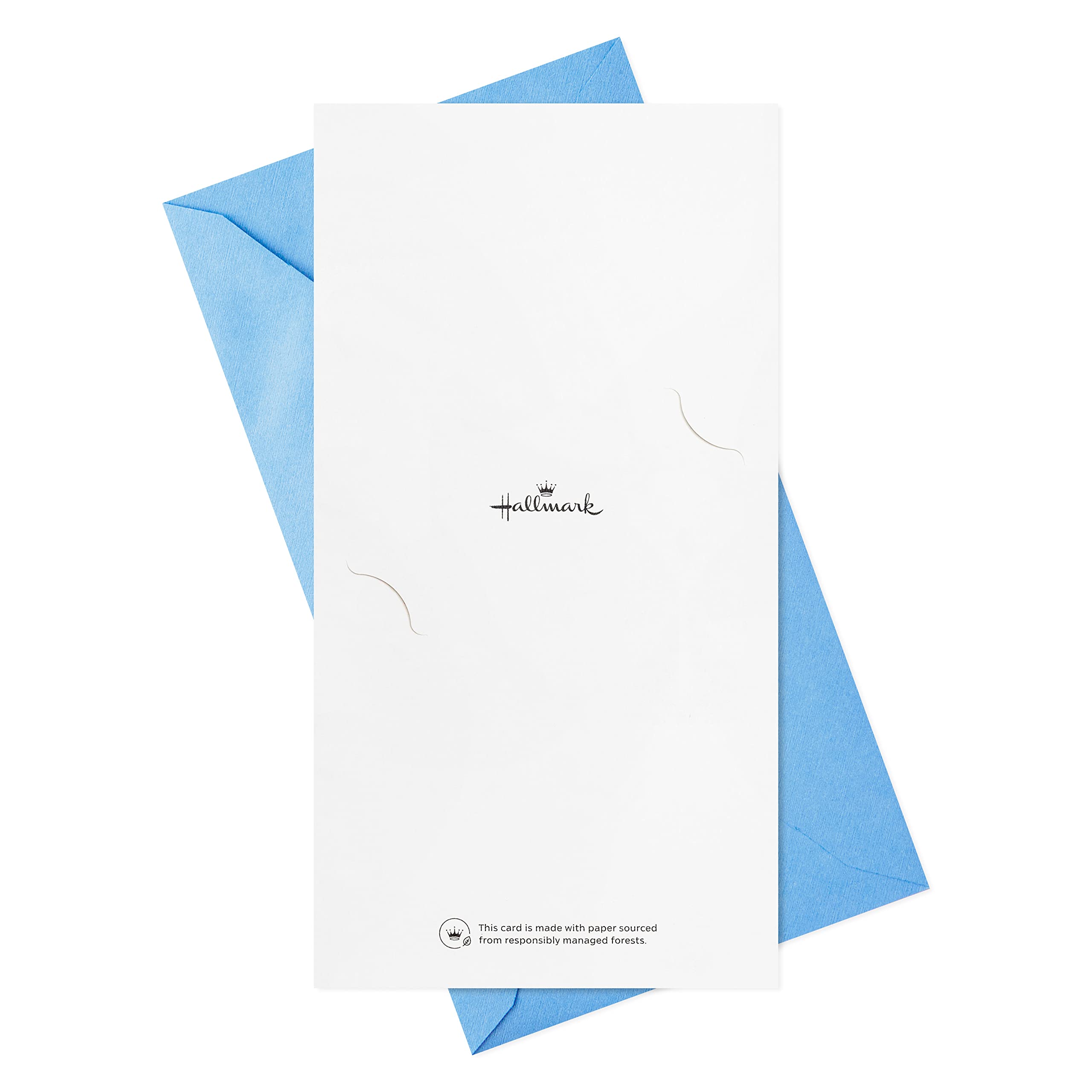 Hallmark Graduation Money Holders or Gift Card Holders Assortment with Envelopes, You Did It (36 Cards and Envelopes)