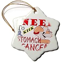3dRose Blonde Designs Kick The Causes for Support - Kick Stomach Cancer - Ornaments (orn-202737-1)
