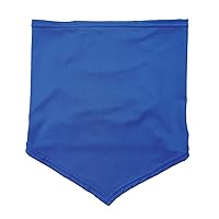 Ergodyne Chill Its 6483 Cooling Neck Gaiter Bandana with Pocket for Ice or 6283 Phase Change Cool Pack, UPF 50+ Sun Protection, Blue, Small-Medium