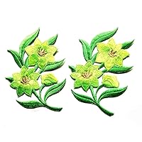 Green Jasmine Pair Flowers Floral Bouquet Beautiful Embroidery Applique Patch Beautiful Flowers Patch for Bags Jackets Jeans Clothes or Gift (Green Jasmine Flowers)
