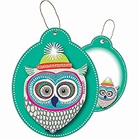 Jillson & Roberts Christmas to/from Gift Tags with Tie String & Glitter Accents, Owl (24 Count)