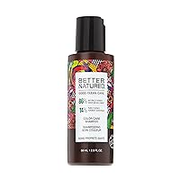Color Care Shampoo for Color Treated Hair - Extend Hair Color Vibrancy, Vegan, Paraben-Free, (2 Sizes)