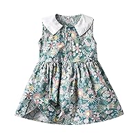 Small N Kids Toddler Baby Girls Spring Summer Floral Cotton Sleeveless Princess Dress Clothes Girl Kids Dresses
