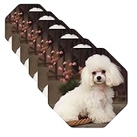 Drink Coasters Set of 6 Leather Coasters Non Slip French Poodle Personalized Coffee Cup mat Decorate Cup Mat Mug pad for Tabletop Protection Housewarming Gift