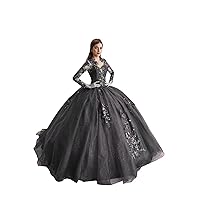 Vintage Long Sleeves Illusion A line Prom Evening Formal Dresses 3D Flower Pattern 2024