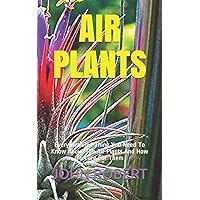 AIR PLANTS: Every Detailed Thing You Need To Know About The Air Plants And How To Care For Them AIR PLANTS: Every Detailed Thing You Need To Know About The Air Plants And How To Care For Them Paperback Kindle
