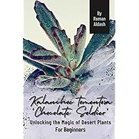Kalanchoe tomentosa 'Chocolate Soldier': Unlocking the Magic of Desert Plants, For Beginners