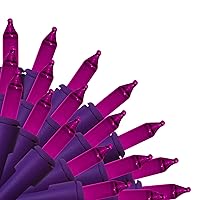Brite Star 50 lt Designer Series Mini Light Set, Purple, Purple Wire