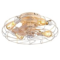 Retro Small Ceilifan with Light Remote Control, Ceilifans,with Lights Flush Mount, Low Profile Ceilifan with Light, Caged Ceilifan with Light