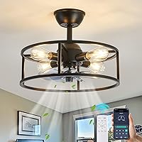 Cage Ceiling Fan with Light Black Industrial Ceiling Fan with Remote Control Indoor 19 Inch Round Fandelier Light for Farmhouse Kitchen Bedroom Dining Room.