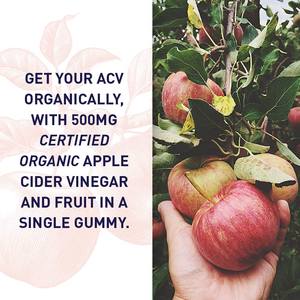 Garden of Life Apple Cider Vinegar Gummies mykind Organics – USDA Organic ACV Gummy Vitamins Made with Real Fruit Blend, Whole Food Vitamin B12 - Vegan, Gluten Free, Non-GMO, Kosher - 60 Gummies