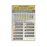 QDFXCYOO Health Poster Hospital Examination Section Poster Urine Hydration Chart Poster (2) Canvas Painting Wall Art Poster for Bedroom Living Room Decor 08x12inch(20x30cm)
