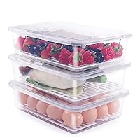 Food Storage Container, (3-Pack) Plastic Food Containers with Removable Drain Plate and Lid, Stackable Portable Freezer Storage Containers - Tray to Keep Fruits, Vegetables, Meat and More (Large)