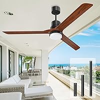 Ceiling Fans with Lights,60