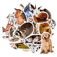 160pcs Cute Animal Stickers for Kids, Cartoon Watercolor Animal Stickers  for Water Bottle/Laptop, Farm Zoo Animal Stickers for Scrapbook Waterproof