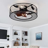 Ceiling Fans with Lamps,Ceiling Fans with Lights and Remote Control 6- Speed Ceiling Fan with Lighting Reversible Dc Motor Quiet Industrial Retro for Living Room Kitchen/B