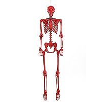 Crazy Bonez Red Pose-N-Stay Skeleton