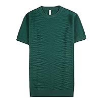 Men's Cotton Textured Sweater Crewneck Stylish Knitwear Pullover Tee Rib Twist Patterned Short Sleeves