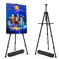 Art Painting Display Easel Stands - Portable Adjustable Aluminum Metal Tripod Artist Easels with Bags, Height from 17