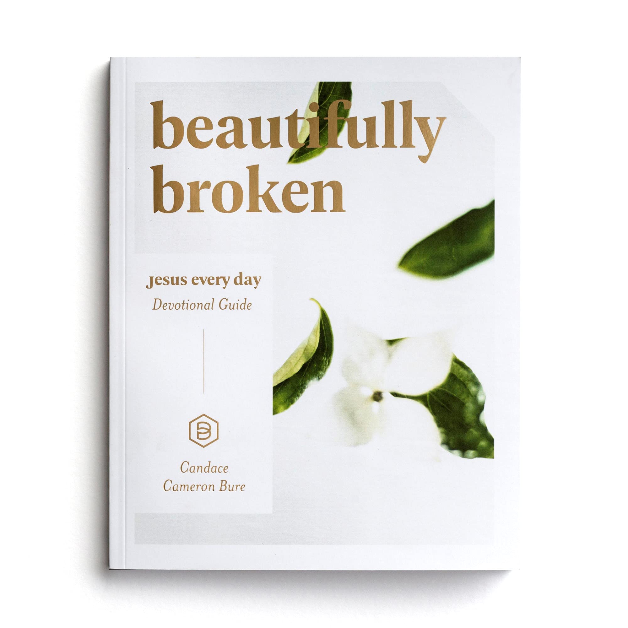 Beautifully Broken: Jesus Every Day Devotional Guide
