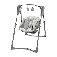Slim Spaces™ Compact Baby Swing, Reign