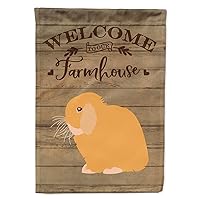 Caroline's Treasures CK6912CHF Holland Lop Rabbit Welcome House Flag Large Porch Sleeve Pole Decorative Outside Yard Banner Artwork Wall Hanging, Polyester, House Size, Multicolor
