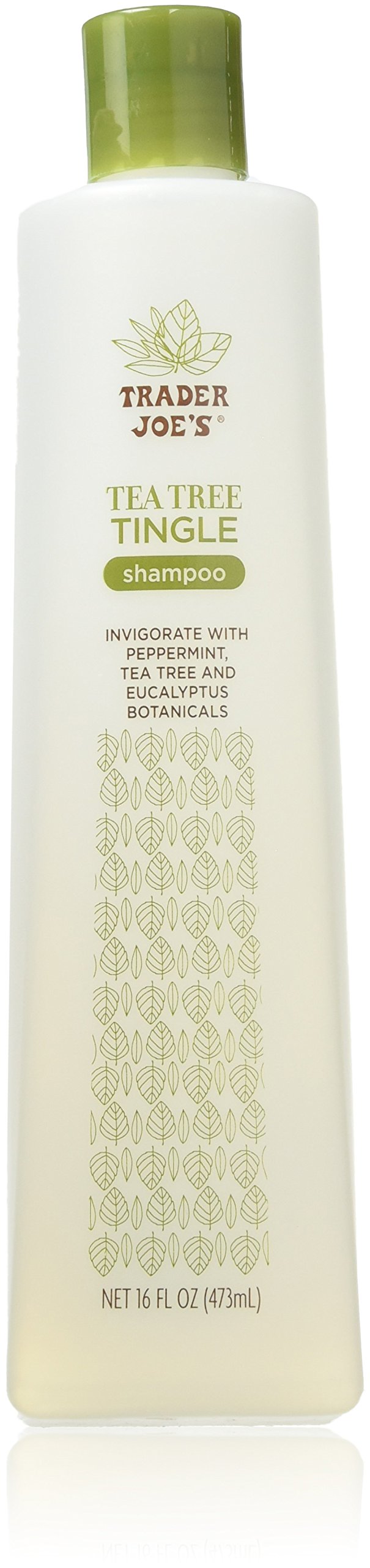 Trader Joe's Tea Tree Tingle Shampoo with Peppermint, Tea Tree and Eucalyptus Botanicals, 16-Ounces