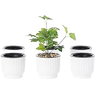 Gardenised White Flower Pot Self Watering Planter, 6 Pack QI003985.6
