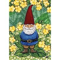 Toland Home Garden 119118 Garden Gnome Gnome Flag 12x18 Inch Double Sided Gnome Garden Flag for Outdoor House Flower Flag Yard Decoration