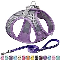 AIITLE Escape Proof Dog Harness - Step in Adjustable Dog Harness No Choke Over with Breathable Mesh and Quick-Release Buckle for All Weather- Outdoor Walking, Training for Medium Dogs Purple XL