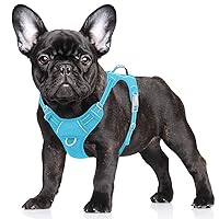 BARKBAY No Pull Dog Harness Large Step in Reflective Dog Harness with Front Clip and Easy Control Handle for Walking Training Running with ID tag Pocket(Blue,S)