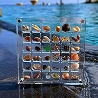 Acrylic Magnetic Seashell Display Box, 36/64/100 Grids Acrylic Magnetic Seashell Display Box, Clear Seashell Starfish Trinket Storage Display Box, Easy to Carry, Sturdy and Durable (36 Grids)