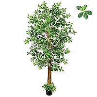GTIDEA Faux Black Olive Tree 6.6ft, Tall Faux Trees Indoor with Natural Trunk and Realistic Leaves. 79'' 6.6 Feet Artificial Tree for Home Decor Indoor Office Living Room Floor